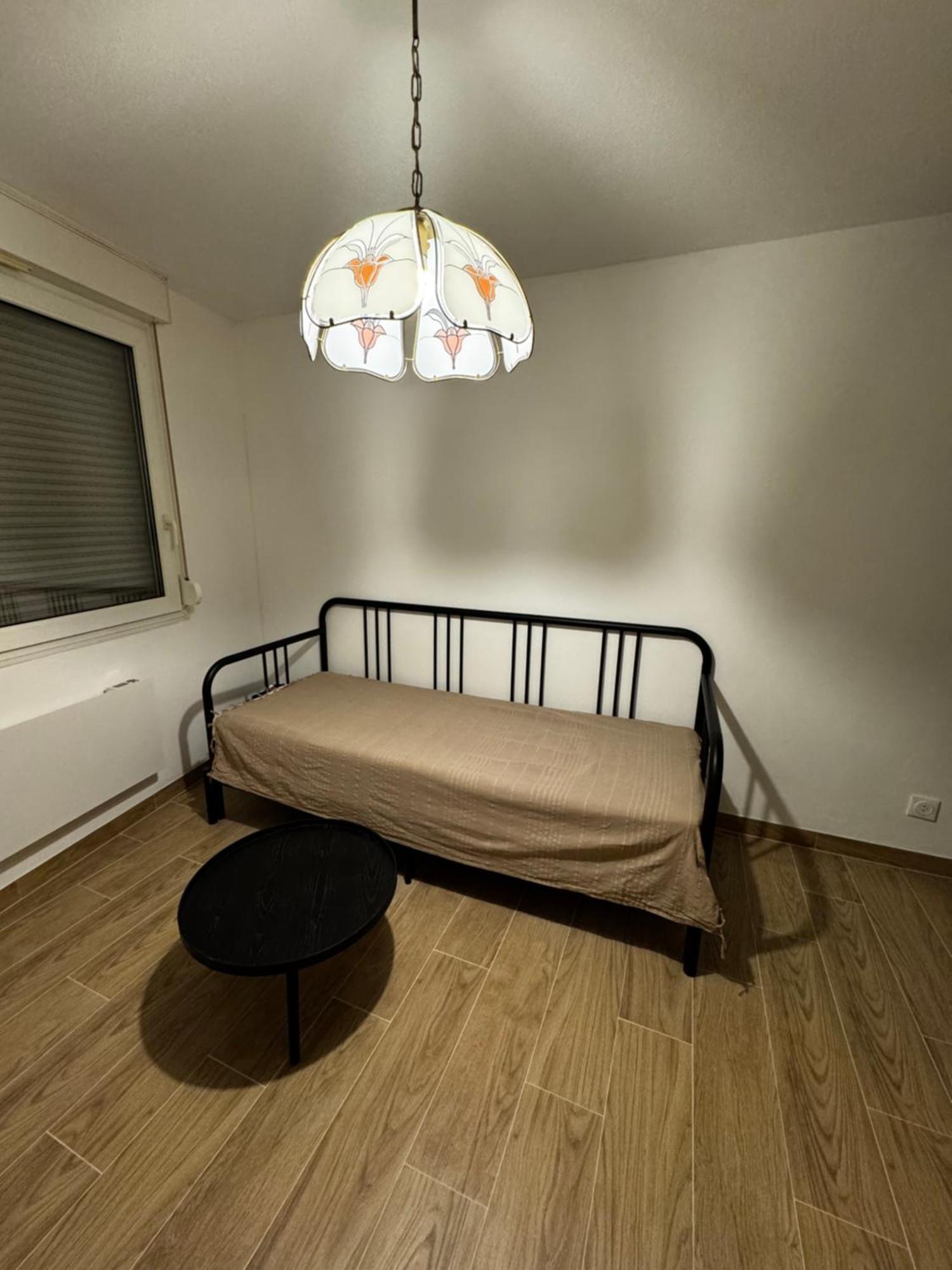 Le Sarsour Appartement Strasbourg Centre Ngoại thất bức ảnh