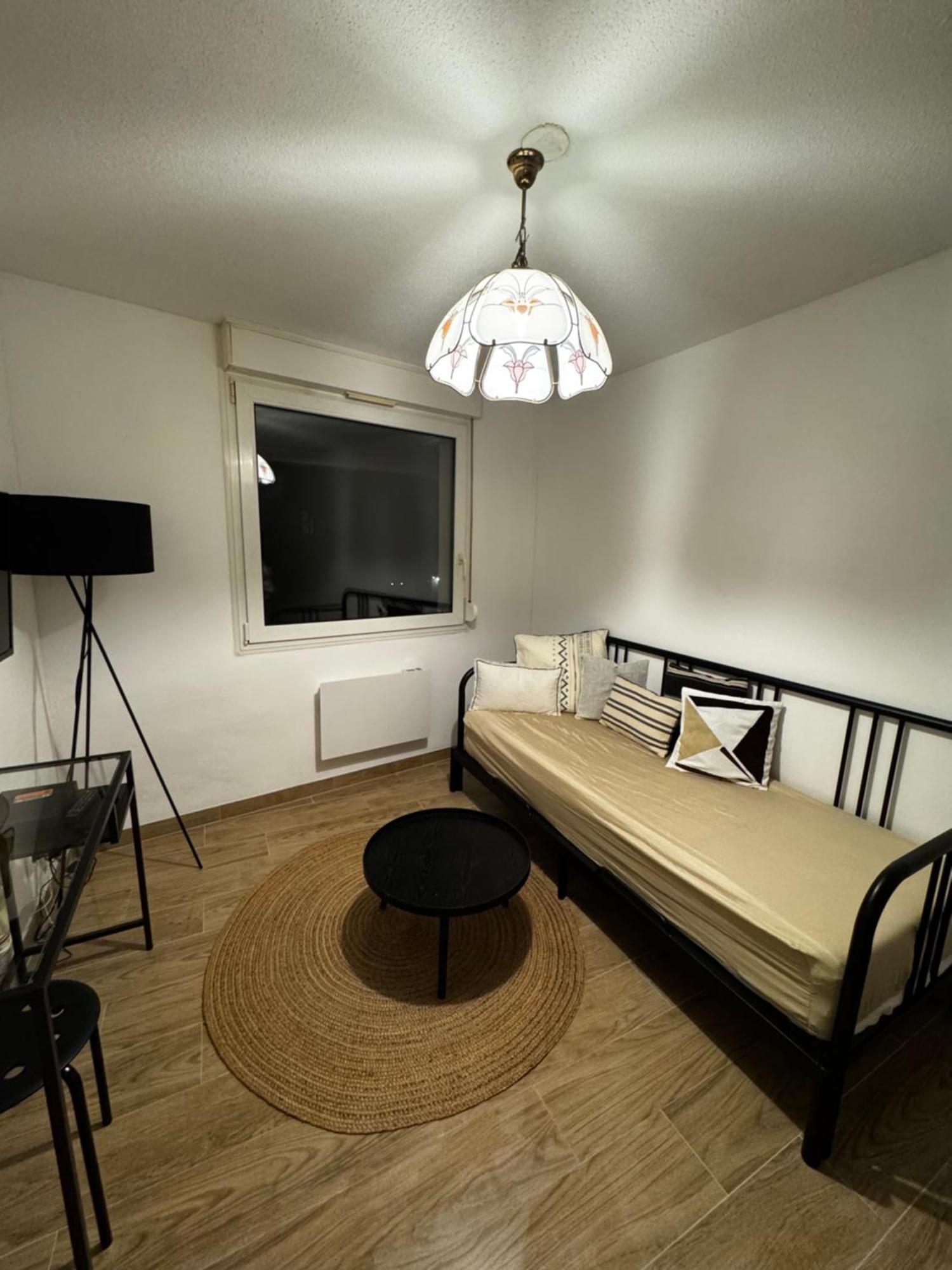 Le Sarsour Appartement Strasbourg Centre Ngoại thất bức ảnh